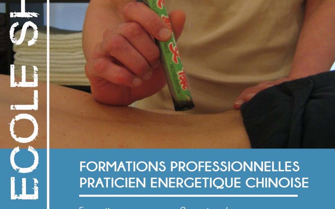 médecine chinoise formation toulouse tui na qi gong do in digipression ventouses moxibustion auriculothérapie