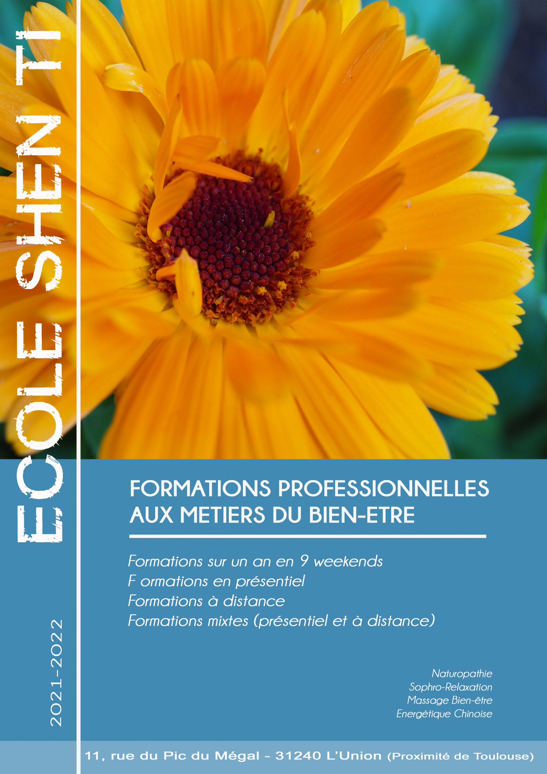 Formation toulouse massage naturopathie sophrologie médecine chinoise