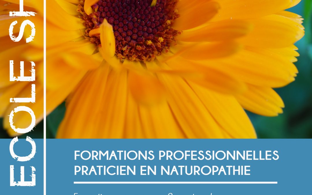 Naturopathie formation toulouse iridologie phytothérapie aromathérapie fleurs de bach gemmothérapie