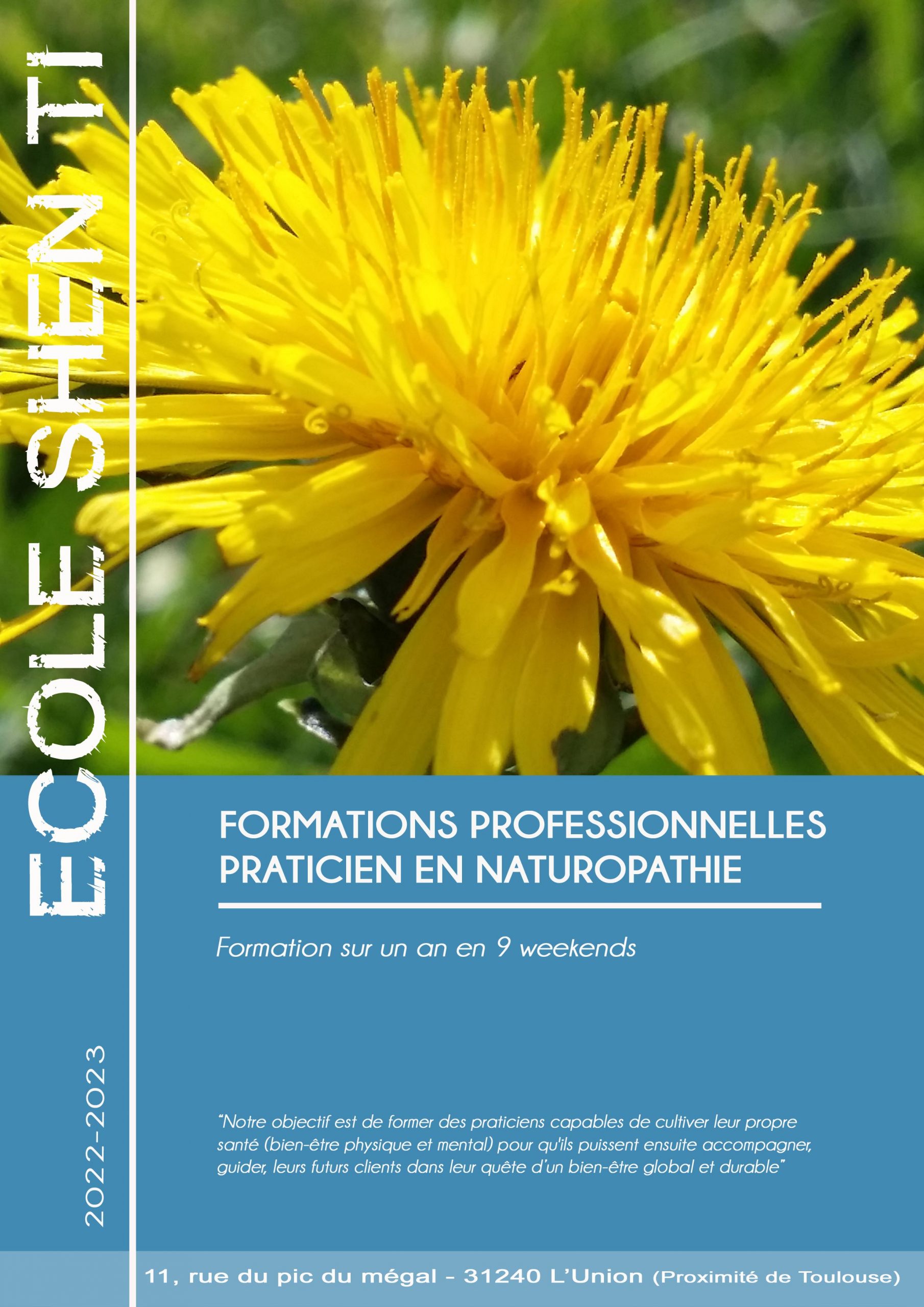 formation naturopathie toulouse
