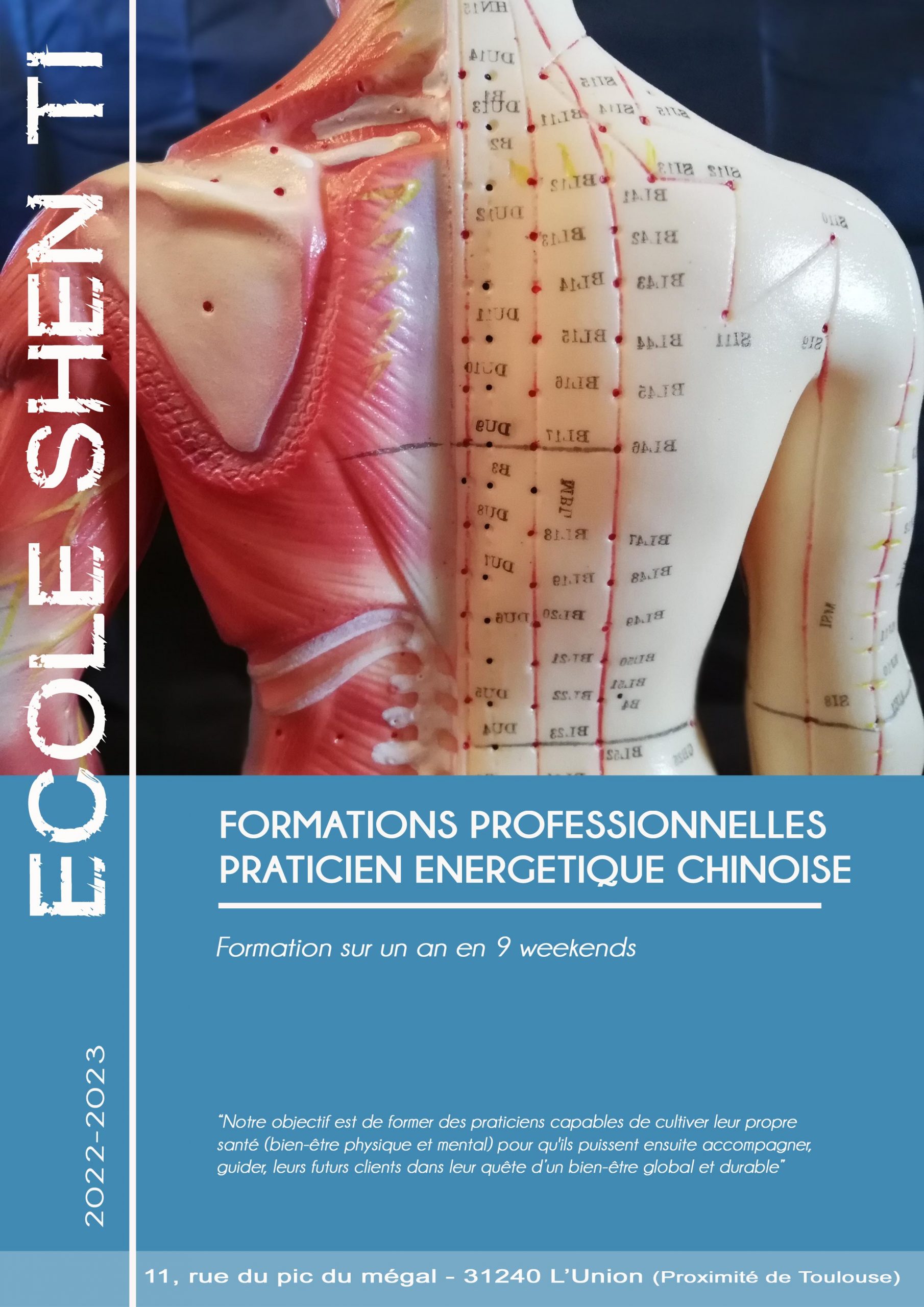 Formation médecine chinoise toulouse