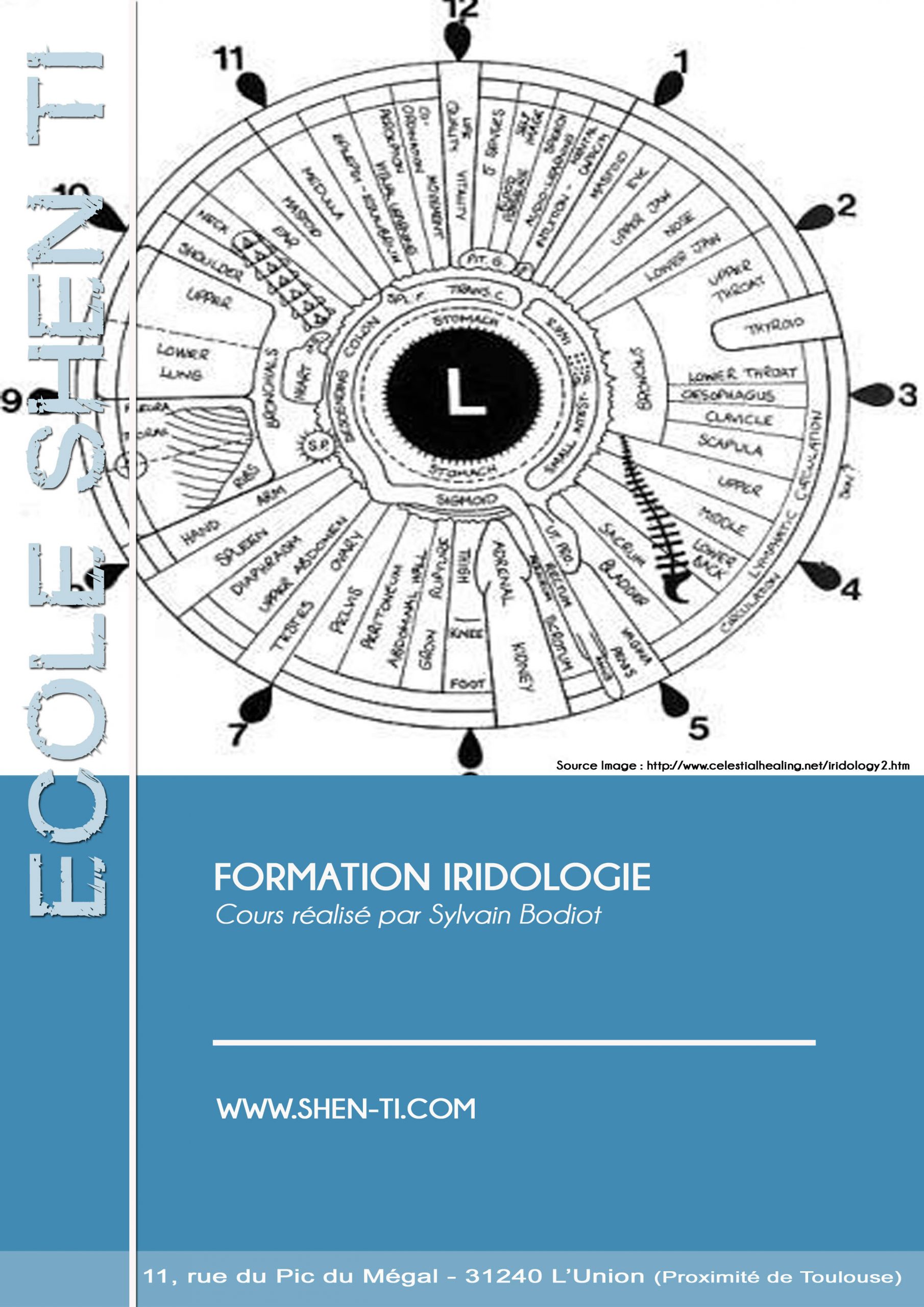 FORMATION IRIDOLOGIE A DISTANCE EN LIGNE E-LEARNING